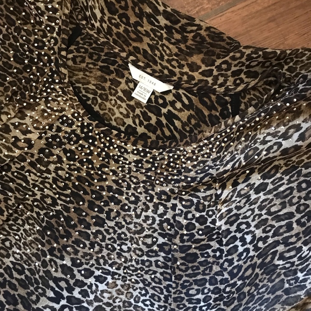 Beautiful Animal Print with‎ Gold embellishments by Cato 14/16 #2212